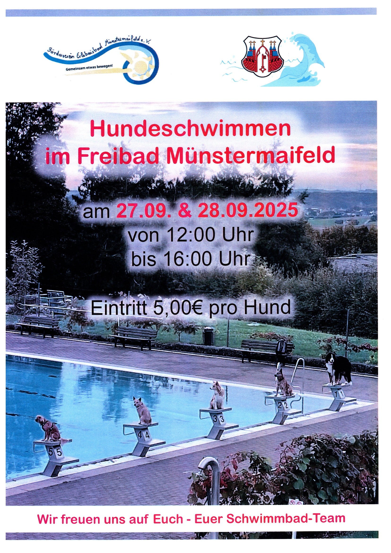 Hundeschwimmen