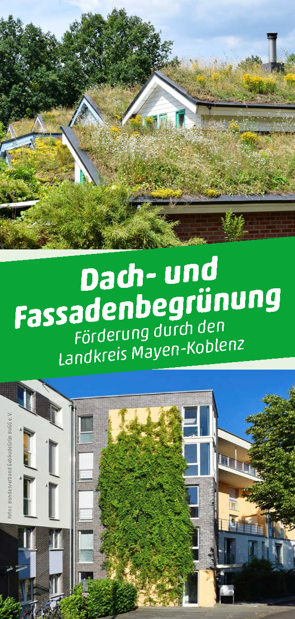 flyer dach  und fassadenbegrünung myk seite 1