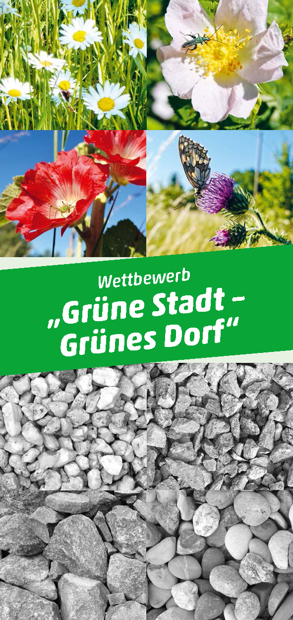 flyer wettbewerb gsgd seite 1